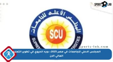 المجلس الأعلى للجامعات في مصر 2025: دوره الحيوي في تطوير التعليم العالي الآن